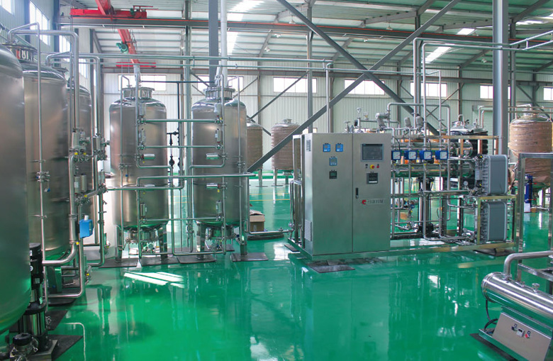 二級(jí)RO+EDI純化水系統(tǒng)